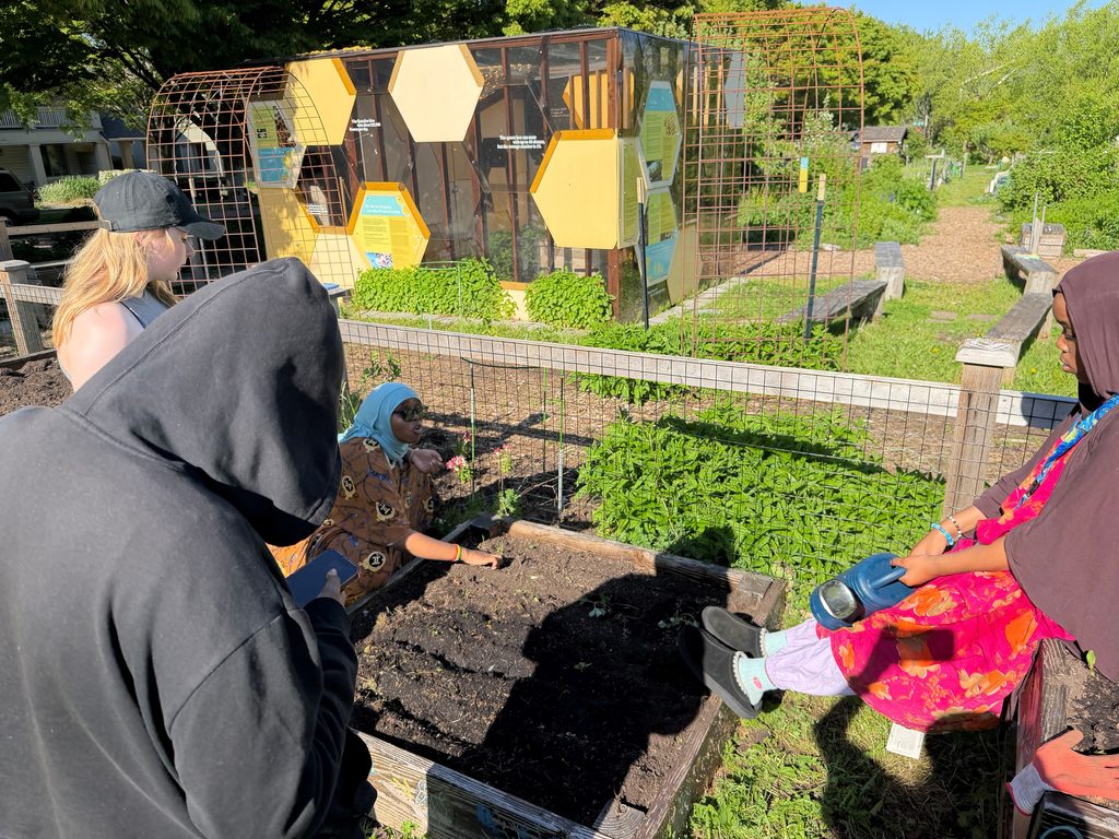 empty garden with students gathered around